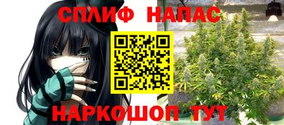 молекула духа Бийск