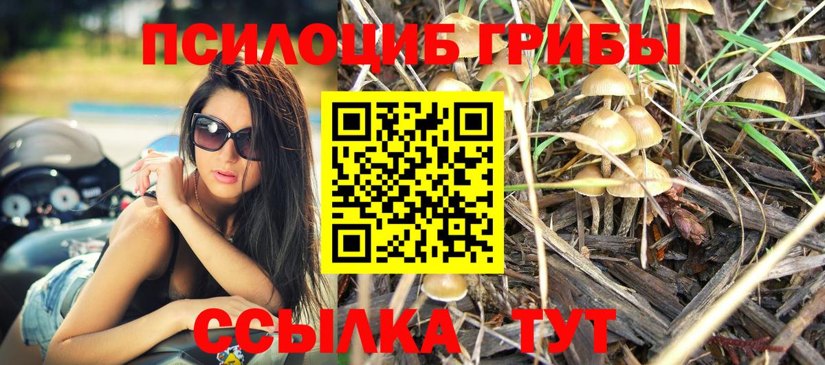 Псилоцибиновые грибы ЛСД  Вход с VPN  Псилоцибиновые грибы Psilocybe  Казань 
